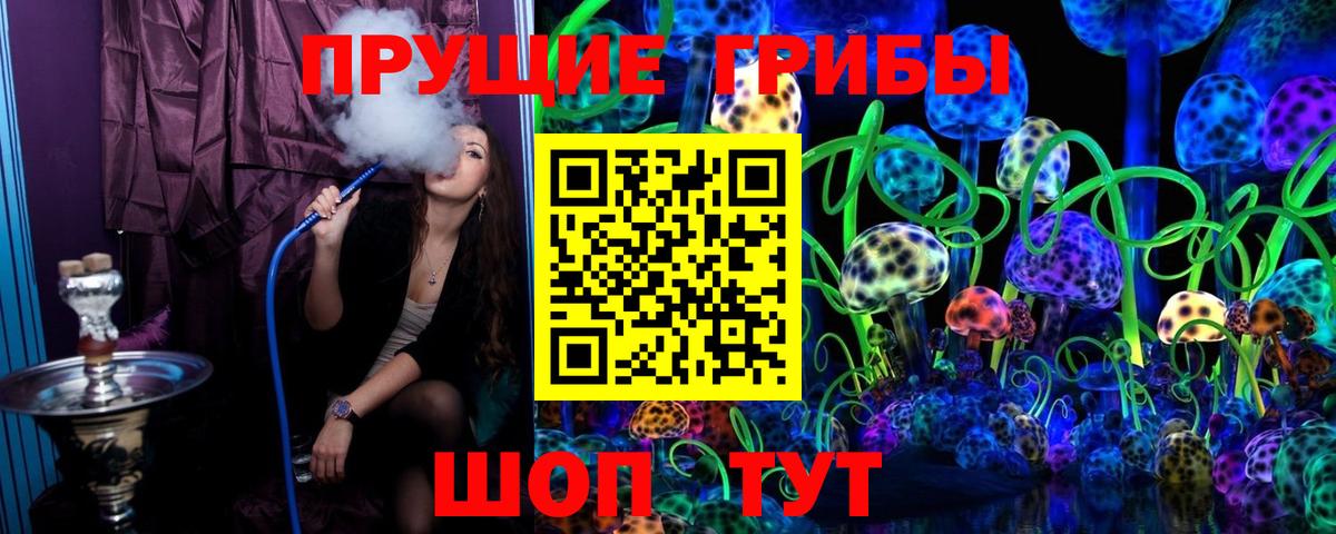 Псилоцибиновые грибы MAGIC MUSHROOMS  хочу   Псилоцибиновые грибы Cubensis  Корсаков  Вход с VPN 